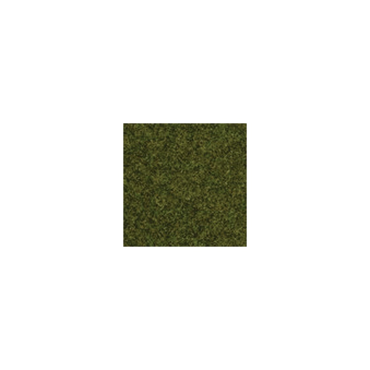 Static Grass - .7oz 20g Short Fibers - 1/16′ .15cm Long -- Meadow, ALL Noch Gmbh & Co 8212