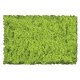 Flock & Turf - Scenic Foams & Ground Textures - Green Tones - 32 Ounces -- Light Green - Coarse, ALL Scenic Express 802B