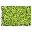 Flock & Turf - Scenic Foams & Ground Textures - Green Tones - 32 Ounces -- Light Green - Coarse, ALL, Scenic Express 802B