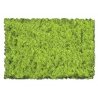 Flock & Turf - Scenic Foams & Ground Textures - Green Tones - 32 Ounces -- Light Green - Coarse, ALL Scenic Express 802B