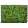 Flock & Turf - Scenic Foams & Ground Textures - Green Tones - 32 Ounces -- Spring Green - Coarse, ALL Scenic Express 811B
