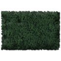 Flock & Turf - Scenic Foams & Ground Textures - Green Tones - 32 Ounces -- Forest Green - Coarse, ALL, Scenic Express 816B