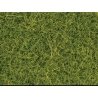 Scatter Material - .7oz 20g -- Light Green, ALL Noch Gmbh & Co 8363