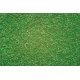 Scatter Material - 1-1/2oz 42g -- Light Green, ALL Noch Gmbh & Co 8410