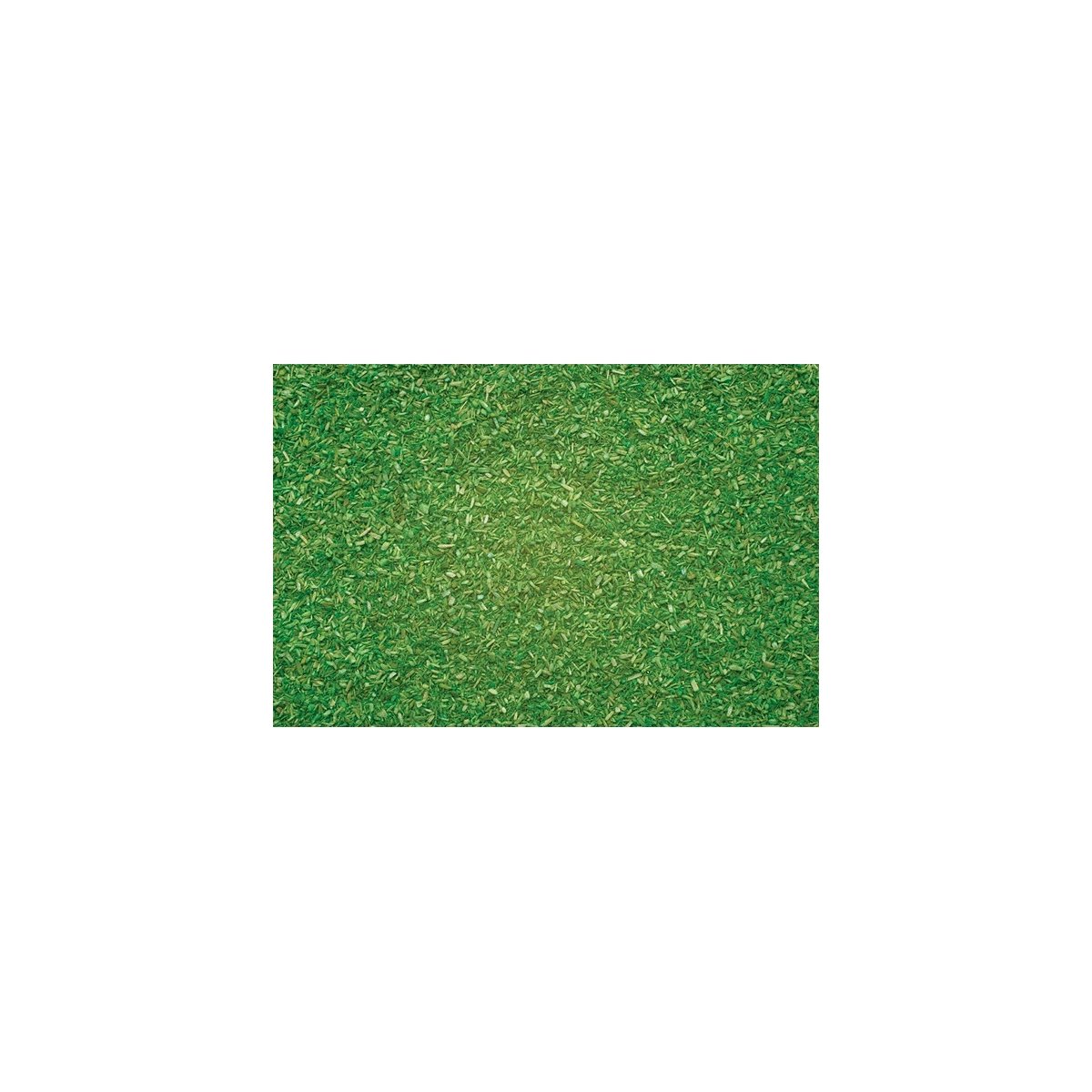 Scatter Material - 1-1/2oz 42g -- Light Green, ALL Noch Gmbh & Co 8410