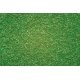 Scatter Material - 6-13/16oz 165g -- Alpine Meadow (Light Green), ALL Noch Gmbh & Co 8411