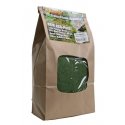 Flock & Turf Ground Cover ECO Pack Bag - 48oz 1.4L -- Fine - Grass Green, ALL Scenic Express 805E