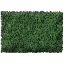 Flock & Turf - Scenic Foams & Ground Textures - Green Tones - 32 Ounces -- Grass Green - Coarse, ALL, Scenic Express 806B