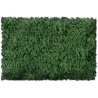 Flock & Turf - Scenic Foams & Ground Textures - Green Tones - 32 Ounces -- Grass Green - Coarse, ALL Scenic Express 806B
