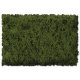 Flock & Turf - Scenic Foams & Ground Textures - Green Tones - 32 Ounces -- Burnt Green - Coarse, ALL Scenic Express 813B