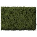 Flock & Turf - Scenic Foams & Ground Textures - Green Tones - 32 Ounces -- Burnt Green - Coarse, ALL, Scenic Express 813B
