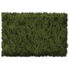 Flock & Turf - Scenic Foams & Ground Textures - Green Tones - 32 Ounces -- Burnt Green - Coarse, ALL Scenic Express 813B