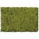 Flock & Turf - Scenic Foams & Ground Textures - Green Tones - 32 Ounces -- Moss Green - Coarse, ALL Scenic Express 823B
