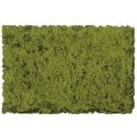 Flock & Turf - Scenic Foams & Ground Textures - Green Tones - 32 Ounces -- Moss Green - Coarse, ALL, Scenic Express 823B