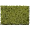 Flock & Turf - Scenic Foams & Ground Textures - Green Tones - 32 Ounces -- Moss Green - Coarse, ALL Scenic Express 823B