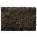 Flock & Turf - Scenic Foams & Ground Textures - Brown Tones - 32 Ounces -- Soil Brown - Coarse, ALL, Scenic Express 846B