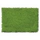 Flock & Turf - Scenic Foams & Ground Textures - Green Tones - 64 Ounces -- Spring Green - Fine, ALL Scenic Express 810C