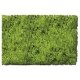 Flock & Turf - Scenic Foams & Ground Textures - Blended Tones - 64 Ounces -- Scrub Lawn Blend, ALL Scenic Express 882C