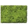 Flock & Turf - Scenic Foams & Ground Textures - Blended Tones - 64 Ounces -- Scrub Lawn Blend, ALL Scenic Express 882C
