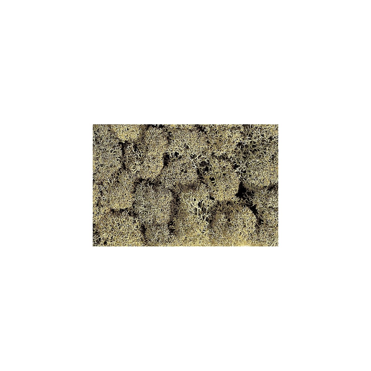 Lichen Single Pack - 1oz 28.3g -- Stone Gray, ALL Noch Gmbh & Co 8600