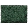 Flock & Turf - Scenic Foams & Ground Textures - Green Tones - 32 Ounces -- Sage Green - Coarse, ALL Scenic Express 825B