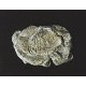 Rock Molds - 5 x 7′ 12.7 x 17.7cm -- Wind Rock, ALL Woodland Scenics 1237