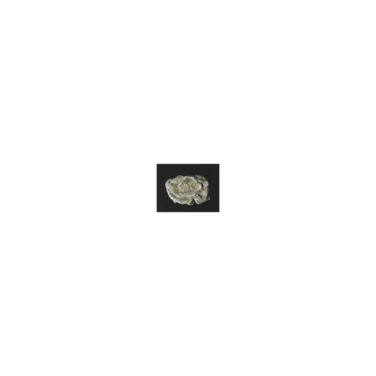 Rock Molds - 5 x 7′ 12.7 x 17.7cm -- Wind Rock, ALL Woodland Scenics 1237
