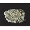 Rock Molds - 5 x 7′ 12.7 x 17.7cm -- Wind Rock, ALL, Woodland Scenics 1237