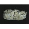 Rock Molds -- Washed Rock, ALL Woodland Scenics 1242