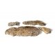 Boulders - All Game Terrain -- Surface, ALL Woodland Scenics 6558