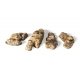 Boulders - All Game Terrain -- Outcropping, ALL Woodland Scenics 6559