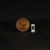 Tesla Charger -- pkg(5), N, ALL SCALE MINIATURES 1600929