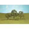 Walnut Trees - SceneScapes(TM) -- 2-1/2 to 3-1/2′ 6.4 to 8.9cm pkg(3), HO Bachmann Industries 32007