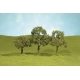 SceneScapes(TM) Layout-Ready Trees -- Walnut Trees 5′ pkg(2), O Bachmann Industries 32207