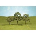 SceneScapes(TM) Layout-Ready Trees -- Walnut Trees 5′ pkg(2), O, Bachmann Industries 32207