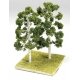 Birch Trees -- 5 - 8′ Tall pkg(2), ALL Grand Central Scenery T52