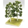 Birch Trees -- 5 - 8′ Tall pkg(2), ALL Grand Central Scenery T52