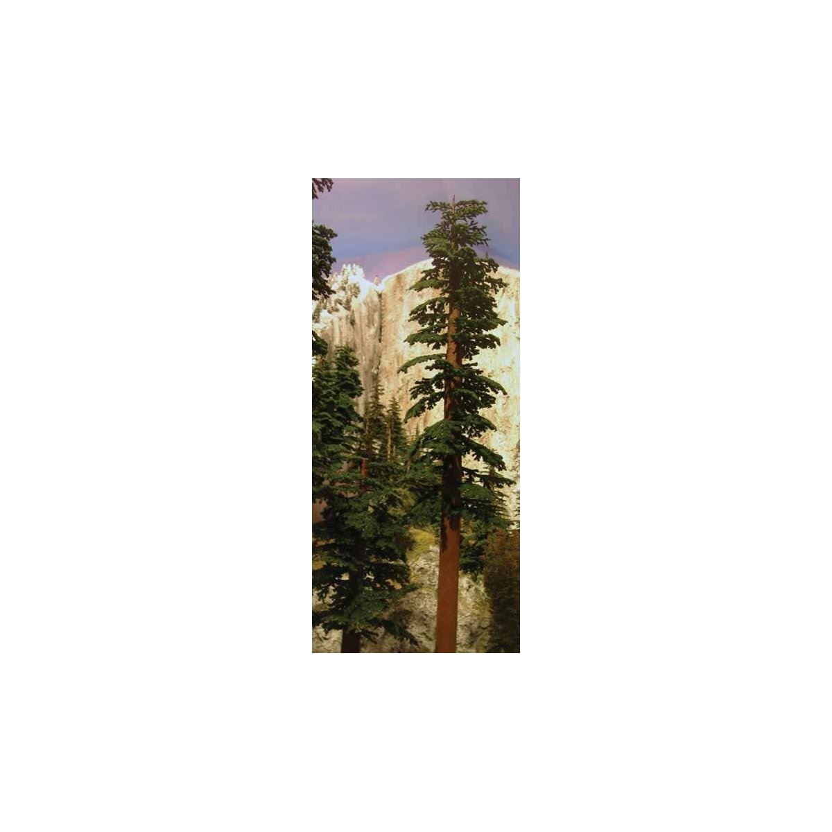 Redwood Trees -- 6 to 9′ 15.2 to 22.9cm pkg(2), ALL Grand Central Scenery T42