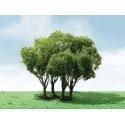 Privet Trees -- 1-3/4 - 2′ 4.4 - 5.1cm Tall pkg(3), ALL, JTT Miniature Tree 92203