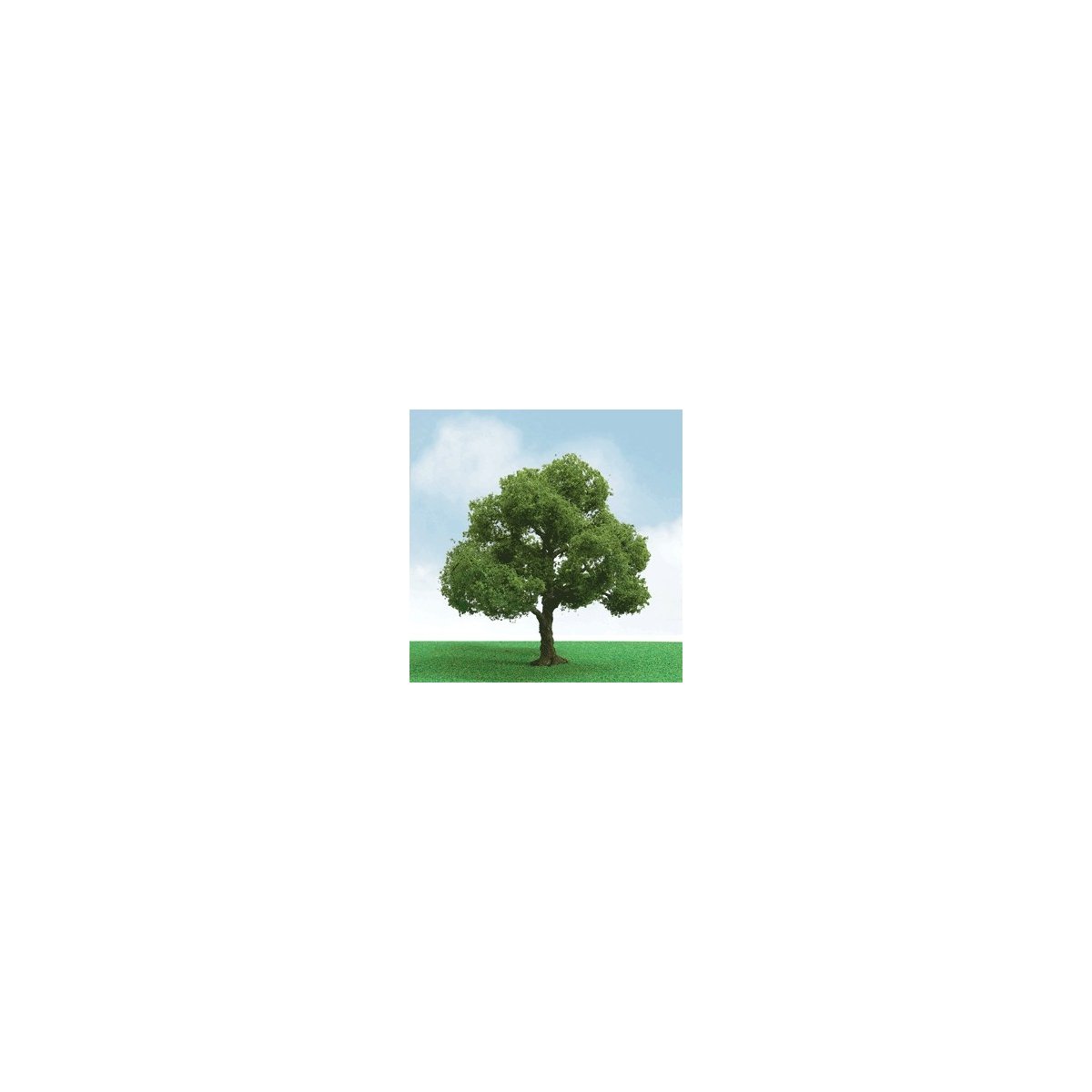 Elder Trees - Pro Elite -- 1-3/4 - 2′ 1.5 - 5.1cm pkg(3), N JTT Miniature Tree 92204