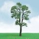 Maple Trees - Pro Elite -- 2 to 2-1/4′ 5.1 to 5.7cm pkg(3), N JTT Miniature Tree 92214