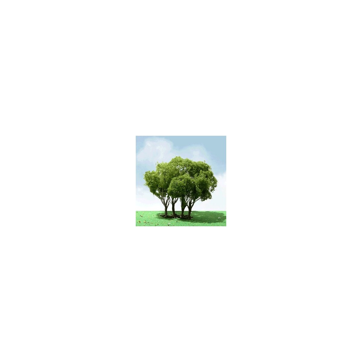 Palm Tree -- 8 - 8-1/2′ 20.9 - 22.9cm Tall pkg(2), ALL JTT Miniature Tree 92403