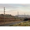 Intermediate Height Utility Poles (Wood) pkg(12) -- Kit - Each 6-1/4` 17.5cm Scale Height: 45` 13.7m, HO, Walthers Cornerstone 4