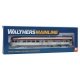 85′ Budd Observation - Ready To Run -- Southern Pacific(TM) (silver, red), HO, WalthersMainline 30357