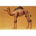 Wild Animal Figures, 1/24 - 1/25 Scale -- Camel Calf (1 Hump), 1/25, Preiser Kg 47532