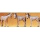 Donkeys -- pkg(3), HO, Preiser Kg 10151