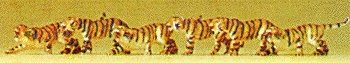 Animals -- Tigers pkg(6), N, Preiser Kg 79714