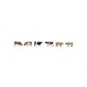 Farm Cows -- pkg(6), N, TomyTec Co LTD 328124