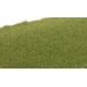 Static Grass - Field System -- Medium Green 1/16′ 2mm Fibers, All Scales, Woodland Scenics 614