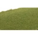 Static Grass - Field System -- Medium Green 1/16′ 2mm Fibers, All Scales, Woodland Scenics 614